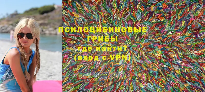 Галлюциногенные грибы Psilocybine cubensis  Болотное 